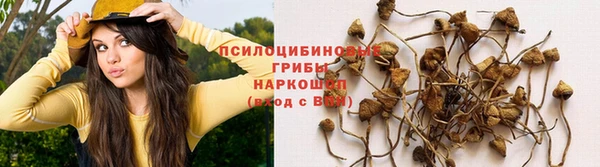 наркотики Володарск