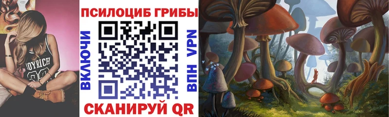 Псилоцибиновые грибы MAGIC MUSHROOMS  Купить закладки  Дагестанские Огни 
