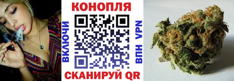 Марихуана планчик  Купить где  Дагестанские Огни 